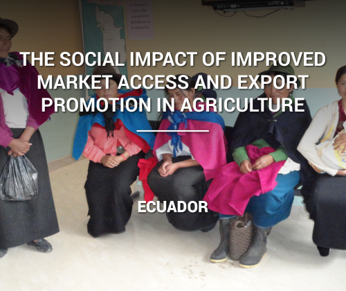 The Social Impact of Improved Market Access and Export Promotion in Agriculture