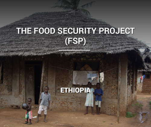 The Food Security Project (FSP)