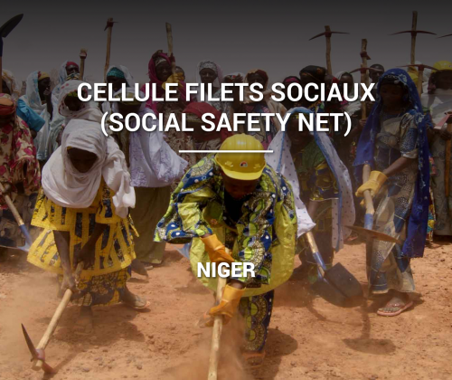 Cellule Filets Sociaux (Social Safety Net)