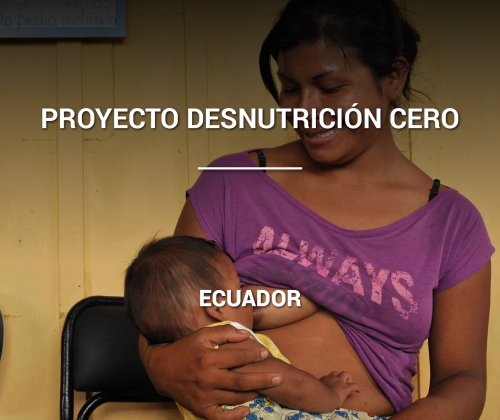 Proyecto Desnutrición Cero