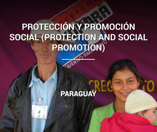 Protección y Promoción Social (Protection and Social Promotion)
