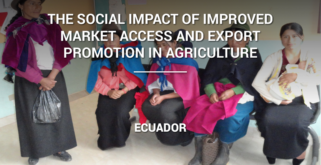 The Social Impact of Improved Market Access and Export Promotion in Agriculture