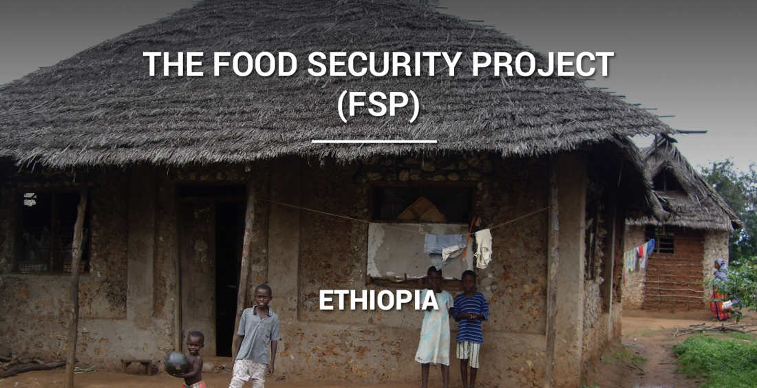 The Food Security Project (FSP)