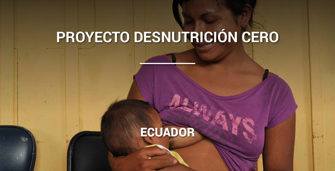 Proyecto Desnutrición Cero